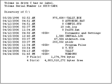 1891_Options with DIR in DOS.png