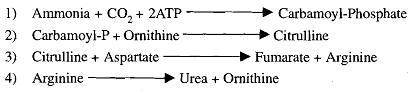 1894_ammonia.png