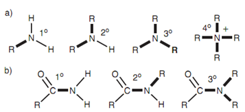 1895_Amines and amides.png