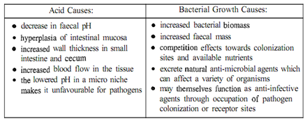 1897_what are the benefits of increasing the growth of bifidobacteria.png