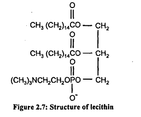 1907_lecithin.png