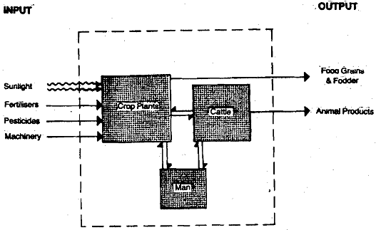 1909_Ecosystem as a Unit of Nature.png