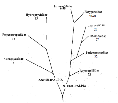 1914_Karyotype.png