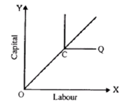 1914_What is Right Angled Isoquant.png