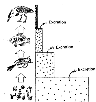 1931_Soil Pollution.png