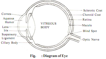 1939_biology.png