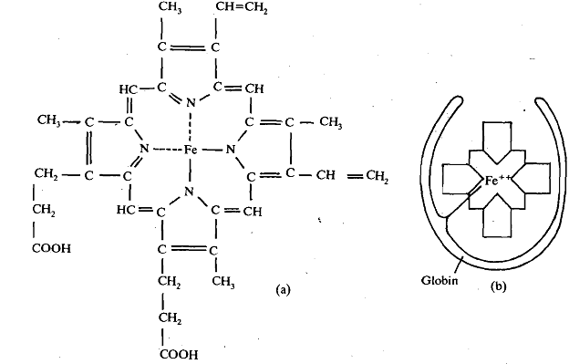 1978_Haem Group.png