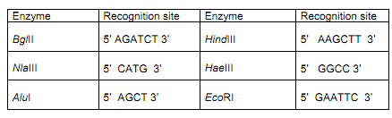 1986_Effect of single base pair mutation on the cftr protein.png