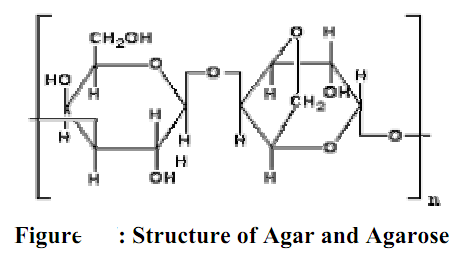 1991_biology.png