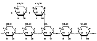 200_Polysaccharide.png