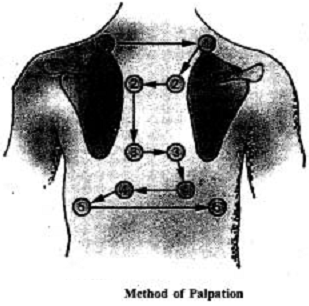 2032_method of pupation.png