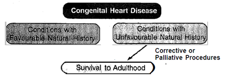 2033_Corrective or palliative procedures.png