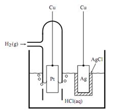 2043_Define the Elements of a galvanic cell.png