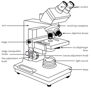 2046_Bright Field Microscopes.png