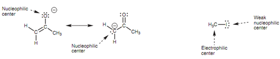 2048_Nucleophilic and electrophilic centers.png