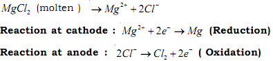 2050_Electrolytic reduction of magnesium chloride.png