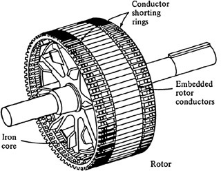 2059_Sketch of Squirrel-cage Rotor.jpg