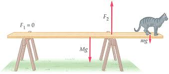 206_torque equilibrium equation.png