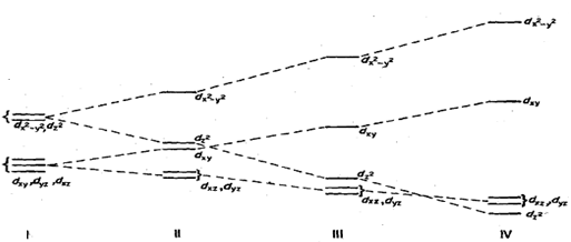 2088_What happens to the energy values of d- orbitals.png