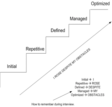 2098_CMMI levels.png