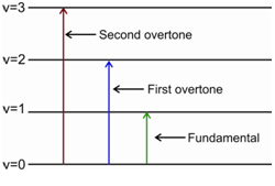 2099_Selection Rule for the Vibrational Spectroscopy.png