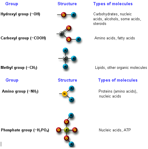 2126_Group structure and molecules.png