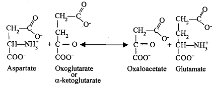 2136_aspartate.png