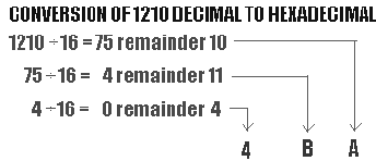 2172_Show the Decimal to Hex Conversion.png