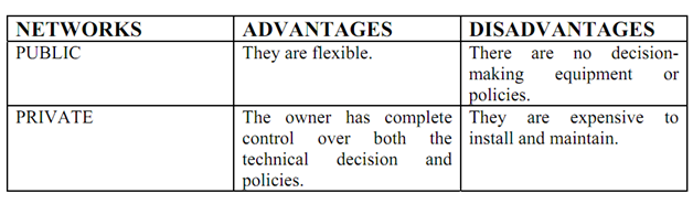 2172_advantages and disadvantages of public and private network table.png