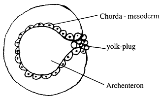 2196_divergence.png