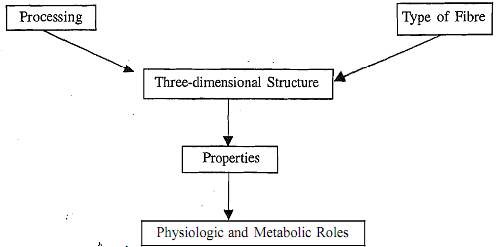 2199_Define the Properties of Fibre.png