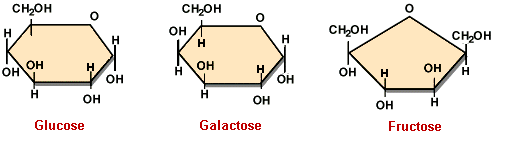 2217_Glucose.png