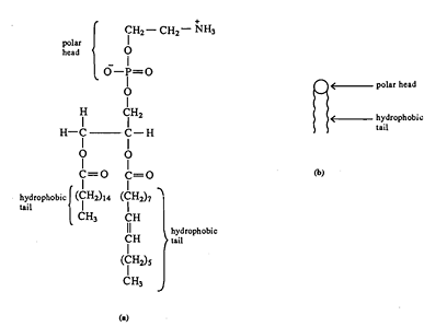 2224_biology.png