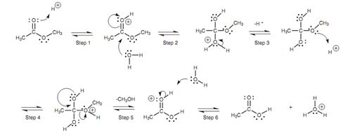 2249_Mechanism for the acid-catalyzed hydrolysis of an ester.png