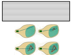 What is raster scan display, Computer Graphics