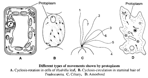 2273_biological properties of protoplasm.png