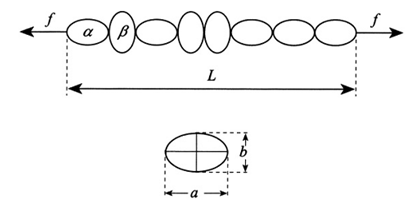 2274_Molecular Chain MIT - Princeton - Colorado.png