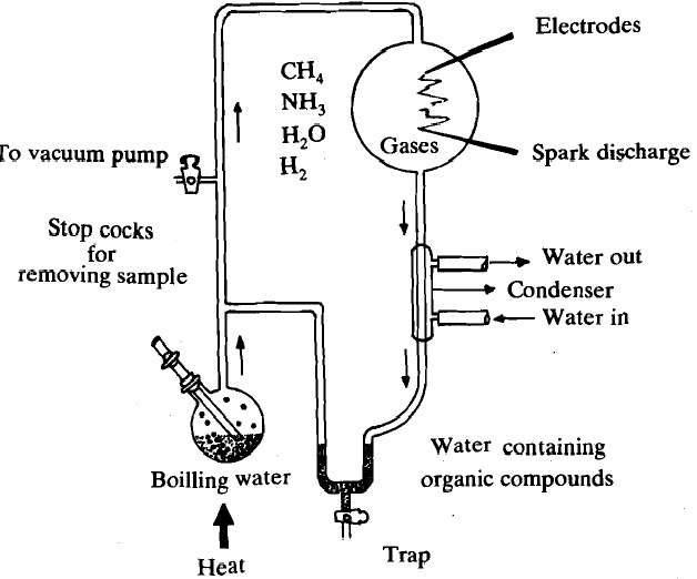 2287_molecule to 1st cell.jpg