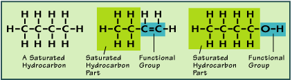 2306_What are the Functional Groups.gif