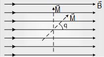 2319_Electric Dipole6.png