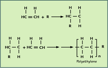 2326_Basic structure of polymer.gif