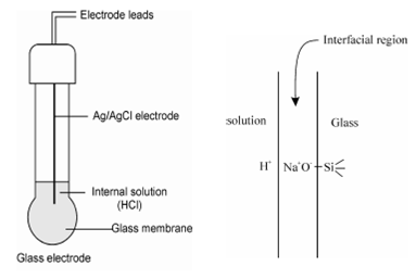 2328_Indicator glass electrode.png