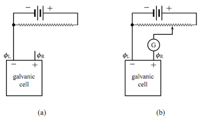 2333_Measuring the equilibrium cell potential 1.png