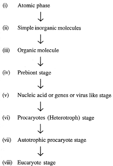 2346_biochemical origin of life1.png