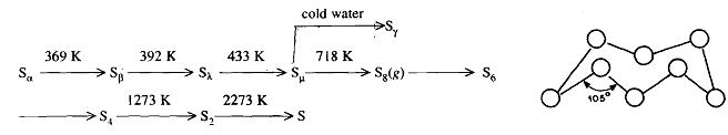 2347_Define Allotropic forms1.png