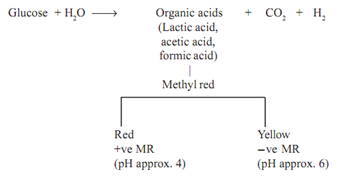 2357_Define the Methyl Red Test.png