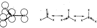 2366_Boron trihalides are monomeric molecular compounds1.png