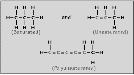 2386_Saturated and Unsaturated Hydrocarbons.gif