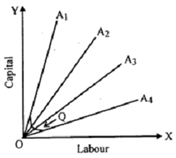 2386_What do you mean by Kinked Isoquant.png