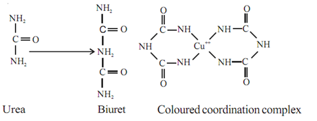 23_Principle or Theory of biuret method.png